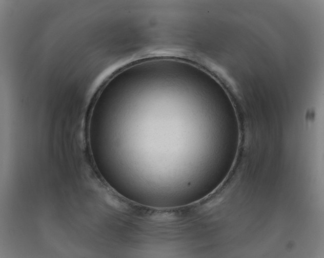 X0000092311174200709281340
