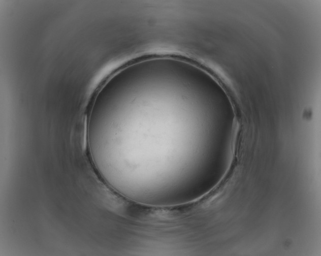 X0000092311175200709281340