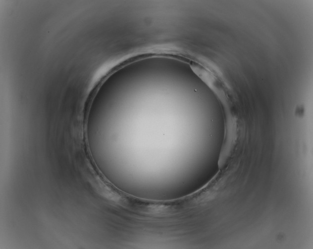X0000092311176200709281340