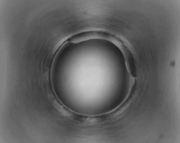 X0000092311177200709281340