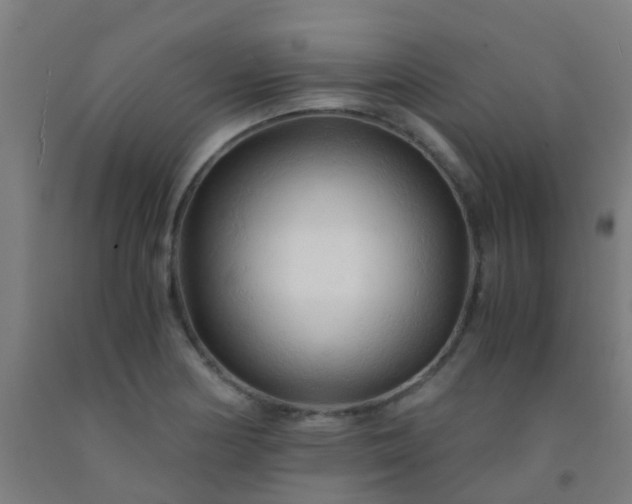 X0000092311178200709281340