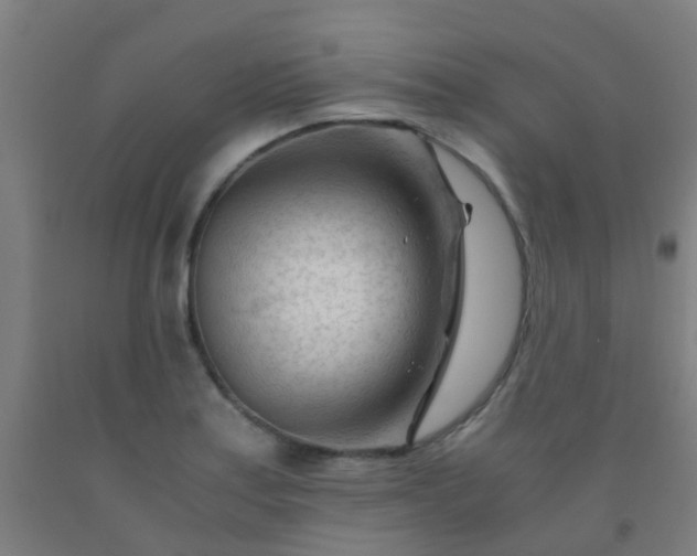 X0000092311179200709281340