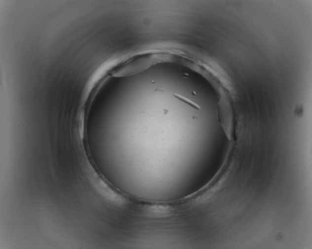 X0000092311180200709281340