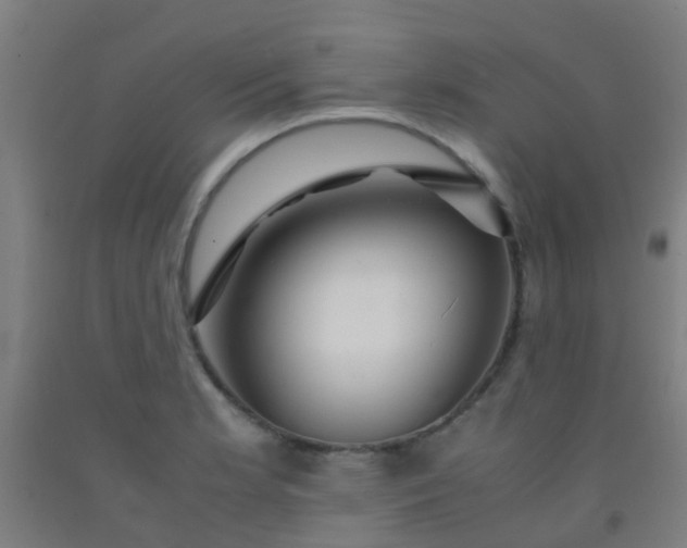 X0000092311181200709281340