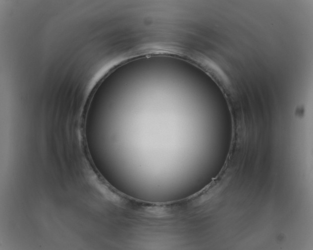 X0000092311182200709281340