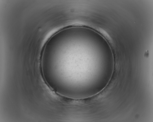 X0000092311183200709281340