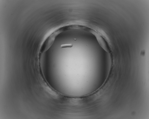 X0000092311184200709281340