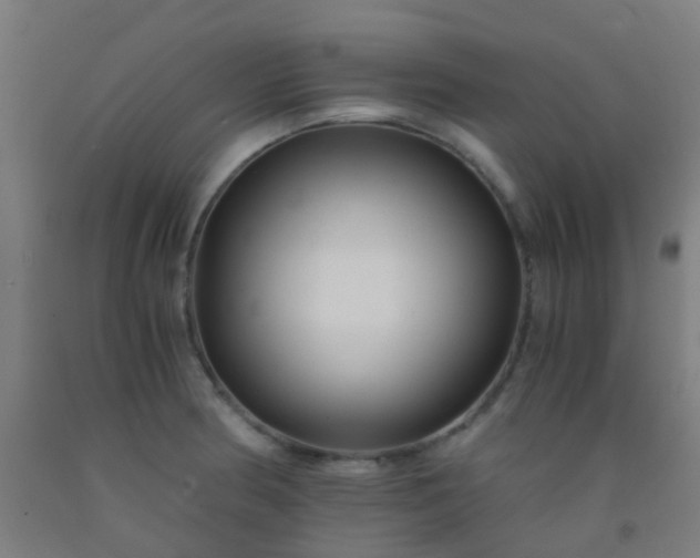 X0000092311186200709281340