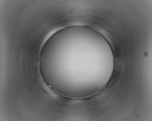 X0000092311187200709281340
