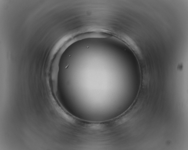 X0000092311188200709281340