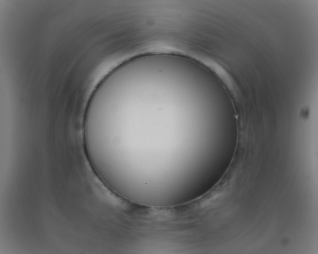 X0000092311191200709281340