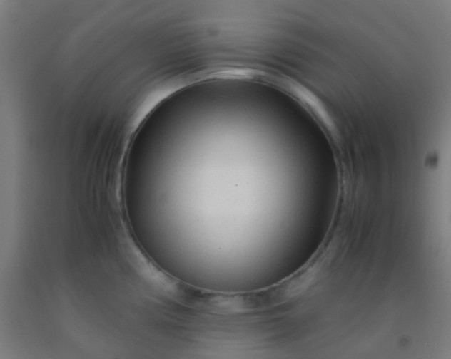X0000092311194200709281340