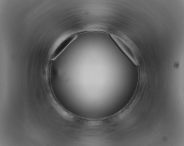 X0000092311196200709281340