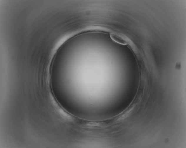 X0000092311199200709281340