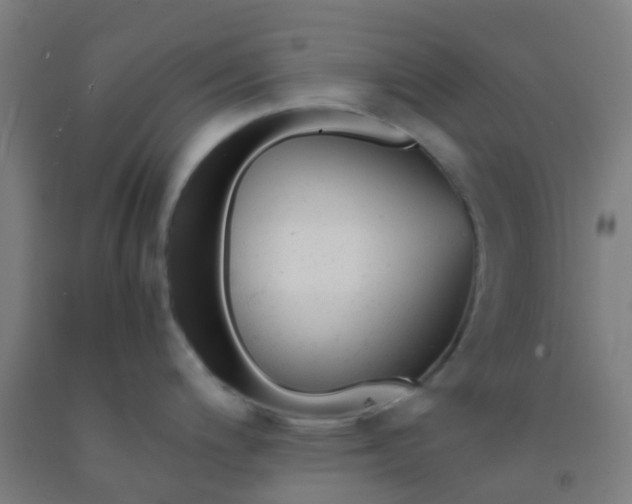 X0000092311200200709281340