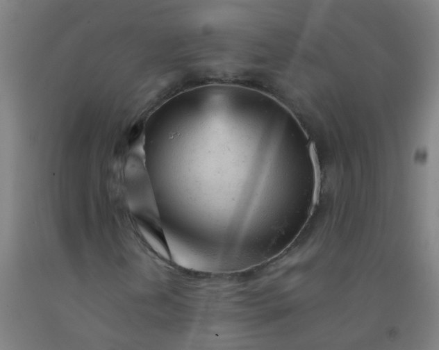 X0000092311202200709281339