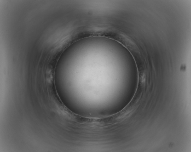 X0000092311204200709281339