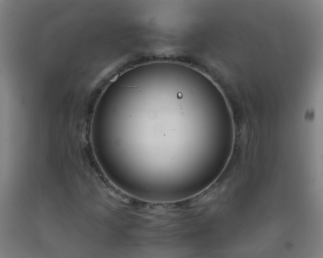 X0000092311205200709281339