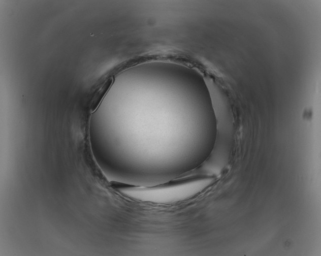 X0000092311206200709281339