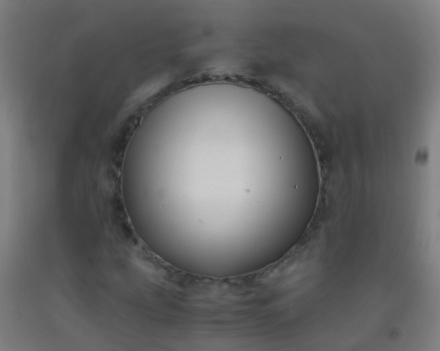 X0000092311207200709281339