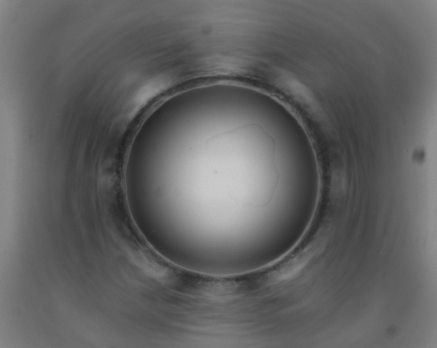 X0000092311210200709281339