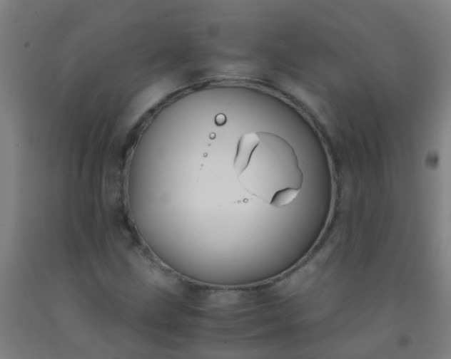 X0000092311211200709281339
