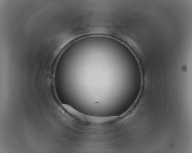 X0000092311212200709281339