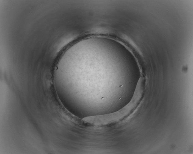 X0000092311213200709281339