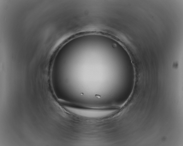 X0000092311216200709281340