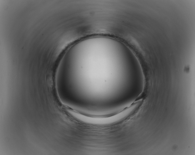 X0000092311218200709281340