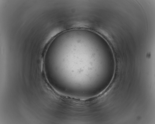 X0000092311219200709281340