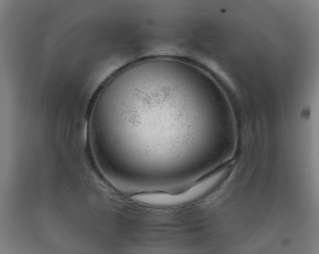 X0000092311221200709281340