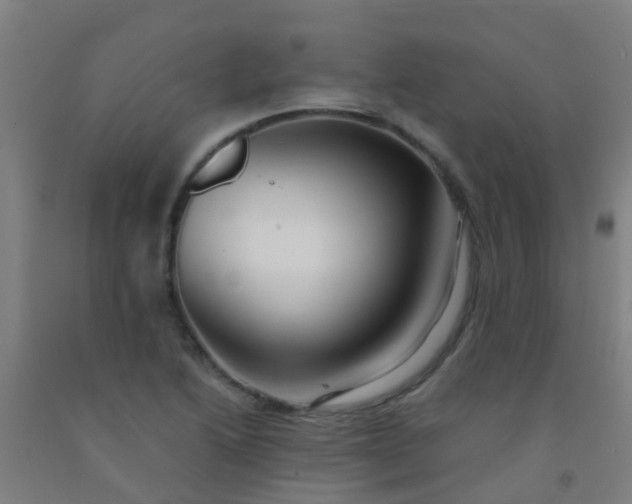 X0000092311222200709281340