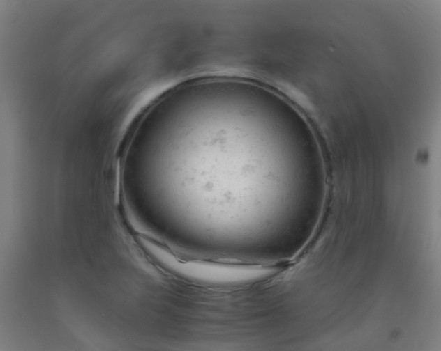 X0000092311223200709281340