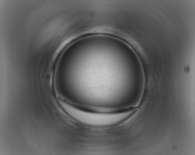 X0000092311224200709281340