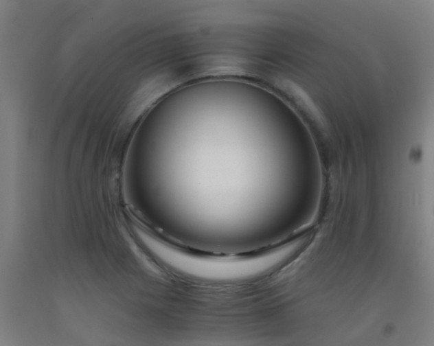 X0000092311225200709281340