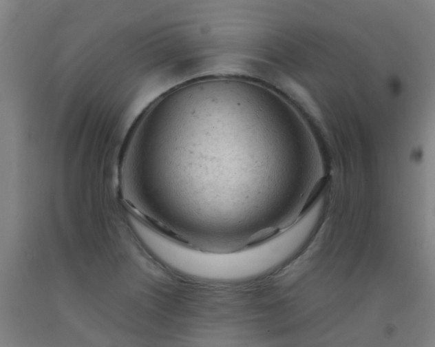 X0000092311226200709281340