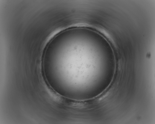 X0000092311229200709281340