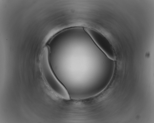 X0000092311230200709281340