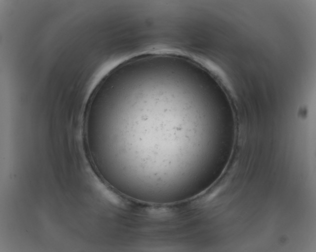 X0000092311231200709281340
