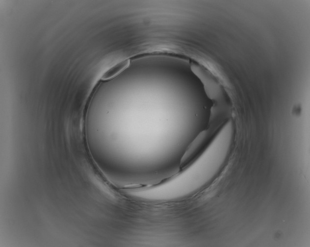 X0000092311234200709281340