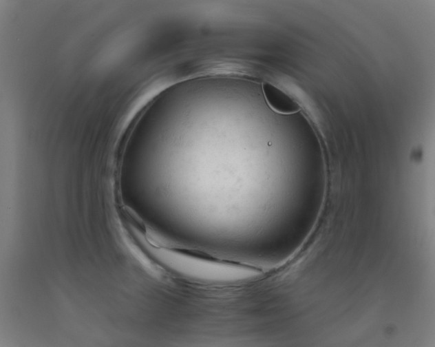 X0000092311235200709281340