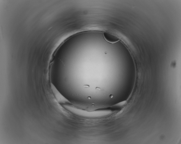 X0000092311236200709281340