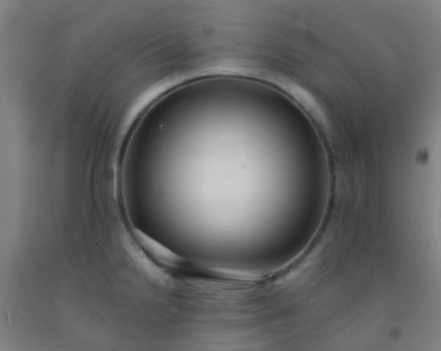 X0000092311238200709281340
