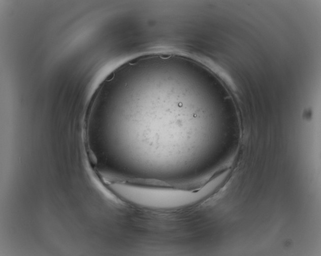 X0000092311239200709281340