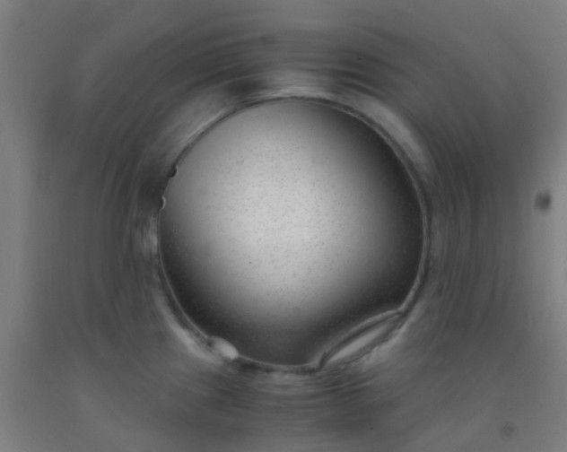 X0000092311241200709281340