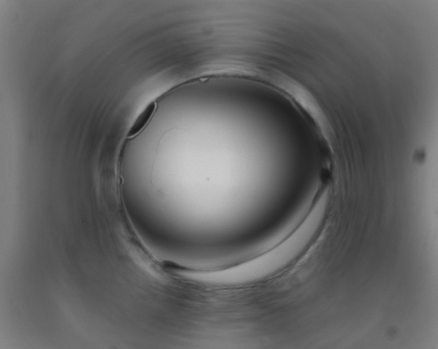 X0000092311242200709281340