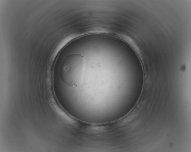 X0000092311243200709281340