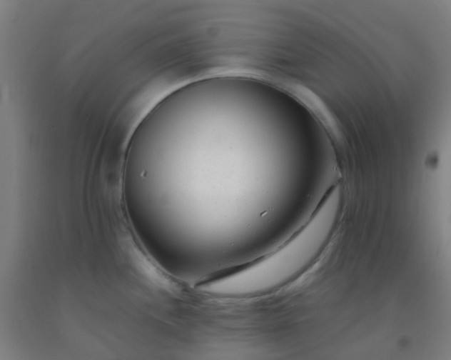 X0000092311244200709281340