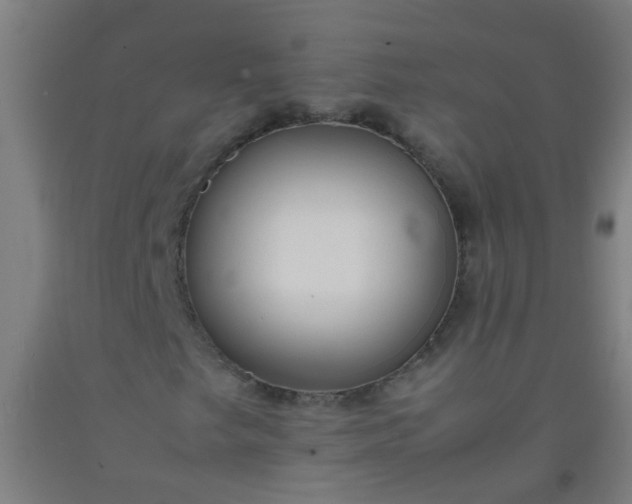 X0000092311249200709281339